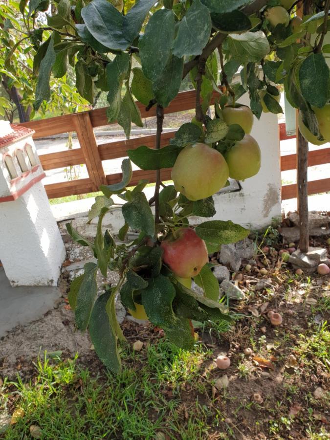 הוילה Eleftheroupoli Mavridis House מראה חיצוני תמונה