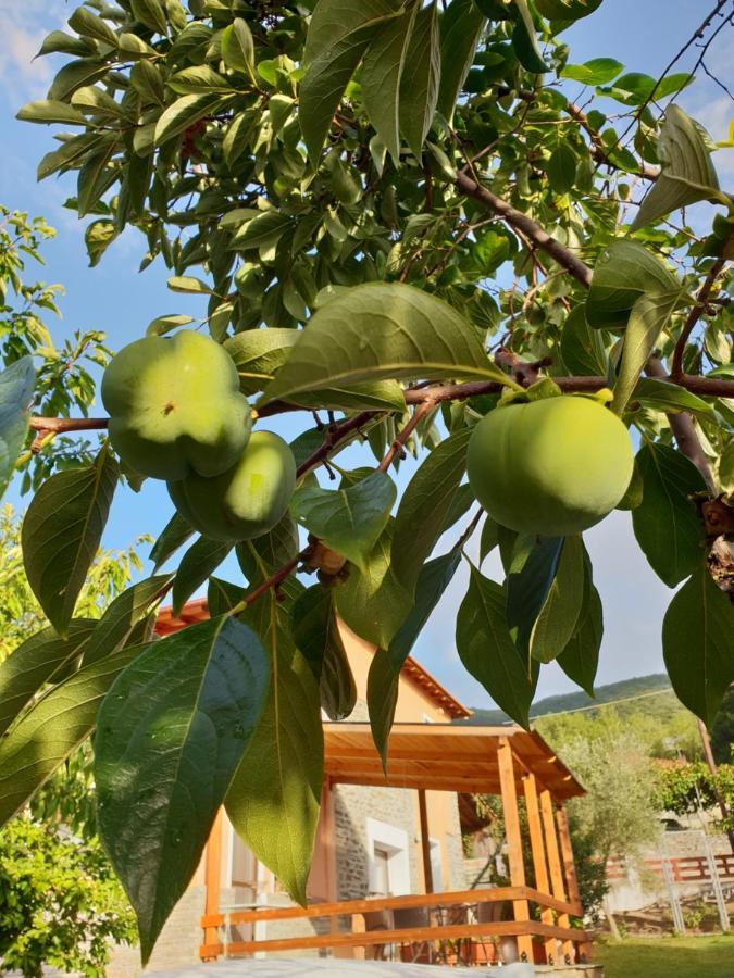 הוילה Eleftheroupoli Mavridis House מראה חיצוני תמונה