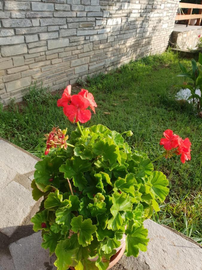 הוילה Eleftheroupoli Mavridis House מראה חיצוני תמונה