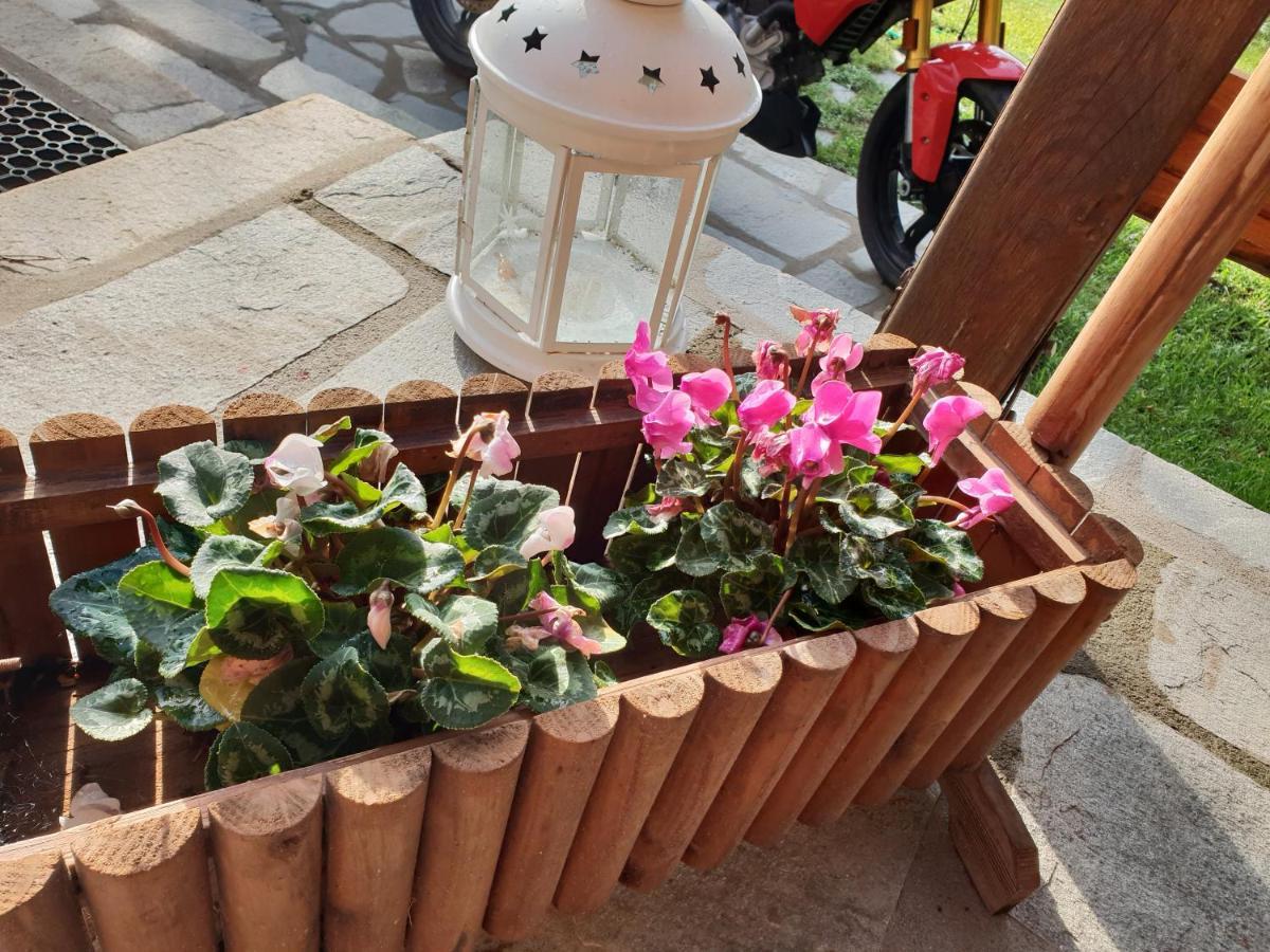 הוילה Eleftheroupoli Mavridis House מראה חיצוני תמונה
