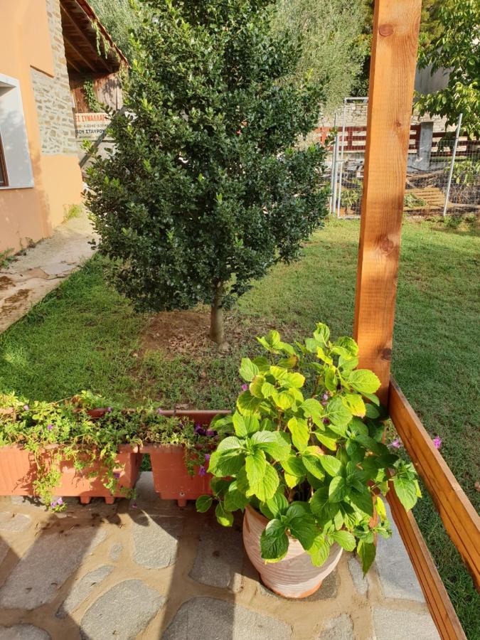 הוילה Eleftheroupoli Mavridis House מראה חיצוני תמונה